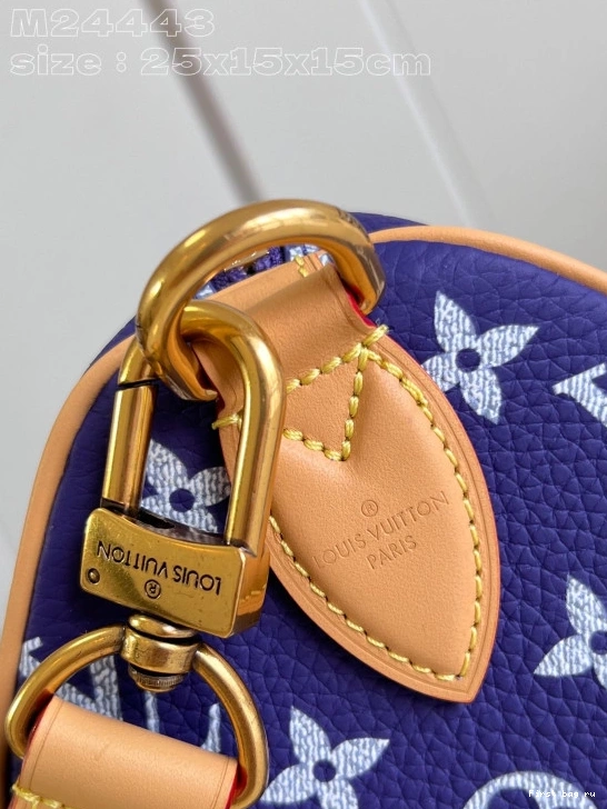 Frstbag ru Louis Vuitton SPEEDY 25 0713